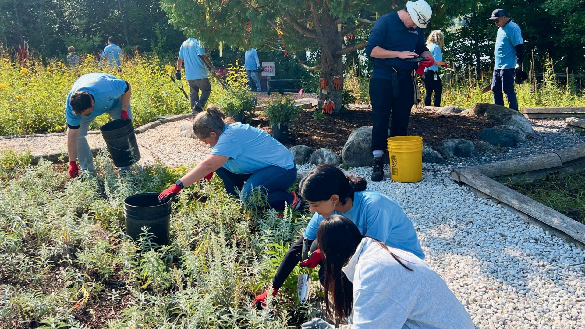 Our Imprint Month - Toronto